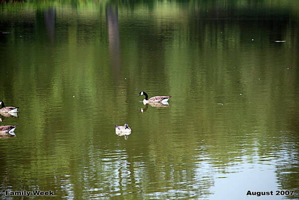 2007-08-02_12-42-17DSC_2604.jpg